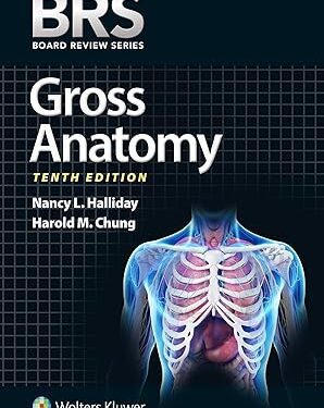 BRS Gross Anatomy (Board Review Series) tenth edition