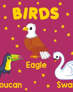 PARAMOUNT LITTLE HAND’S BOARD BOOK BIRDS