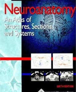 Neuroanatomy: An Atlas Of Structures Sections And Systems by Duane E. Haines